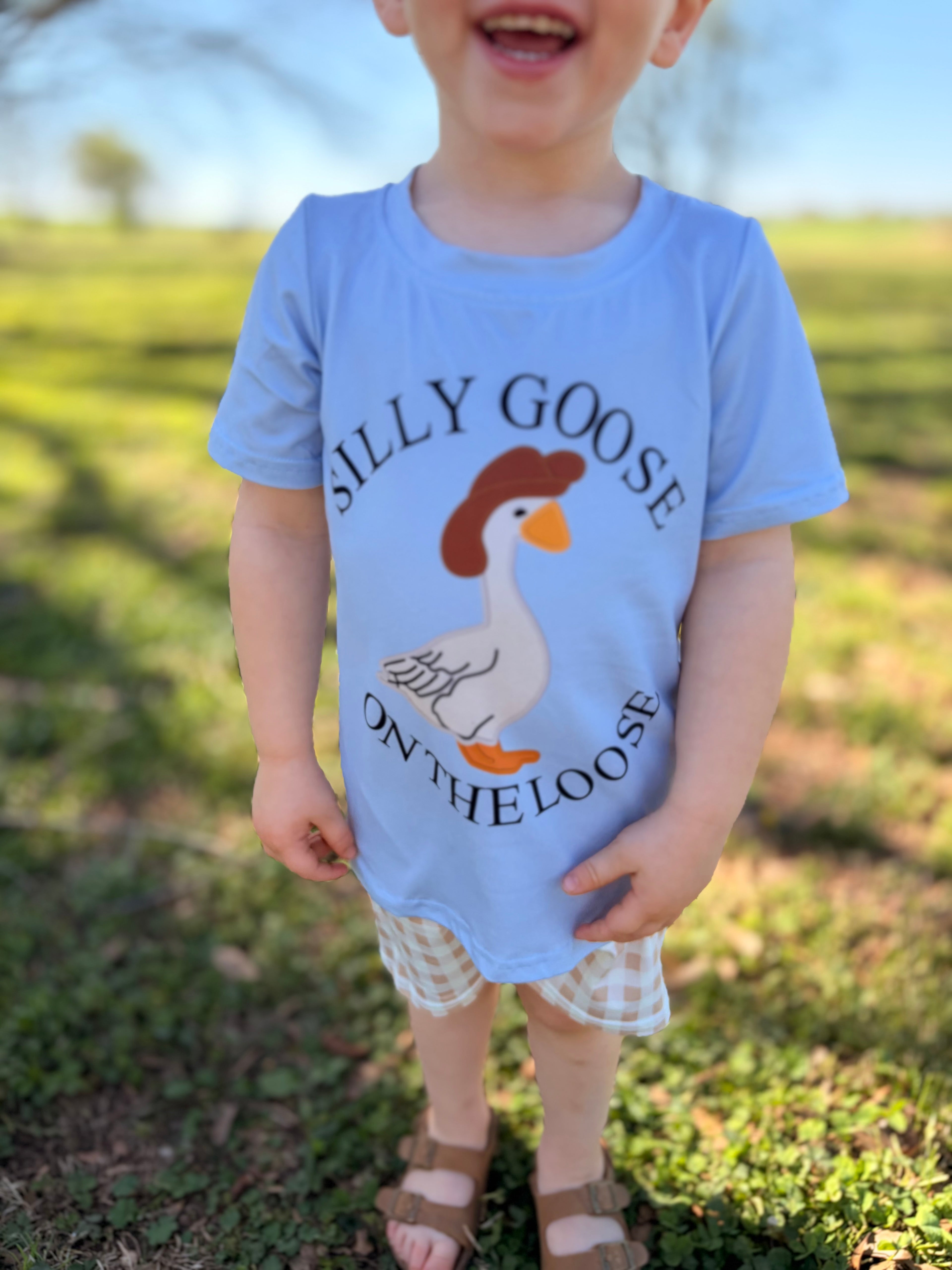 Silly Goose Set 🪿